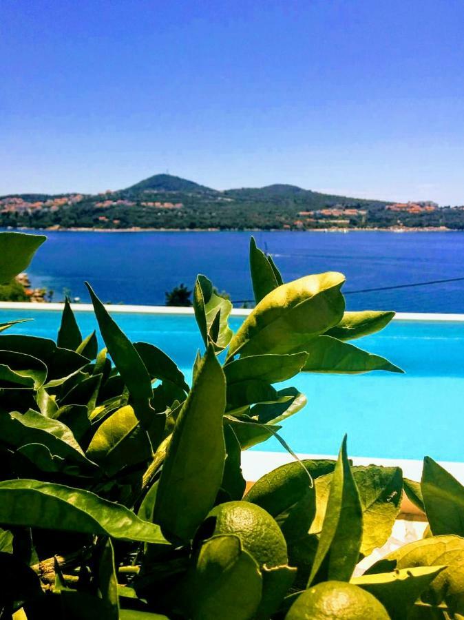 Apartments Anamaria Dubrovnik Dış mekan fotoğraf