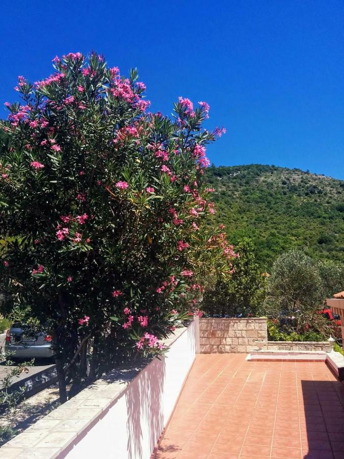 Apartments Anamaria Dubrovnik Dış mekan fotoğraf